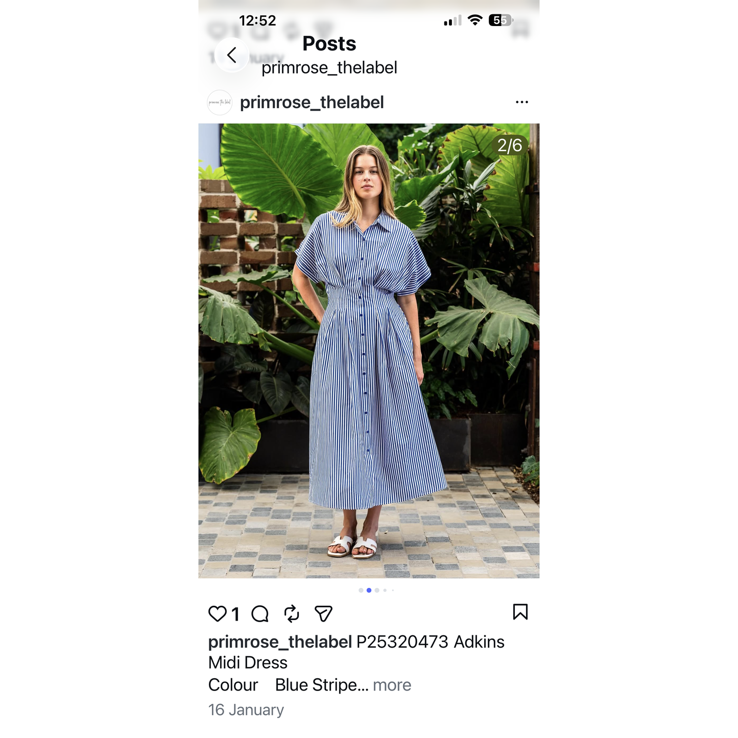 Sally stripe dress